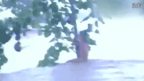 23年前洪水中的