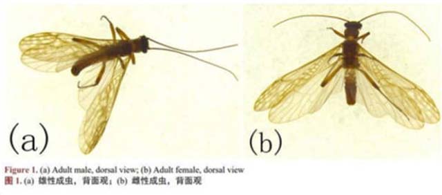 1614148241999.jpg 微信图片_20210224142119.jpg
