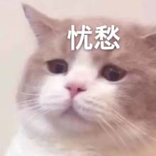 1614234125721.jpg 微信图片_20210224151136.jpg
