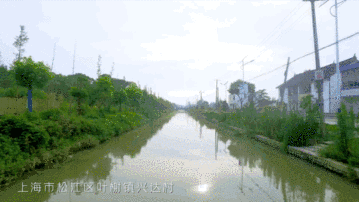 1614843938007.gif 微信图片_20210304152607.gif