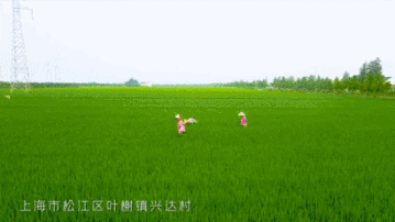 1614843966554.gif 微信图片_20210304152617.gif