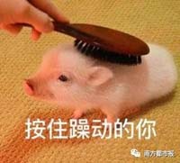 1615618805807.jpg 微信图片_20210313144112.jpg