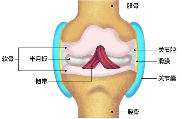 1615622491381.jpg 微信图片_20210313152059.jpg
