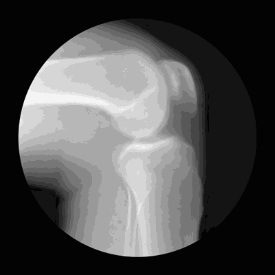 1615622497778.gif 微信图片_20210313152104.gif