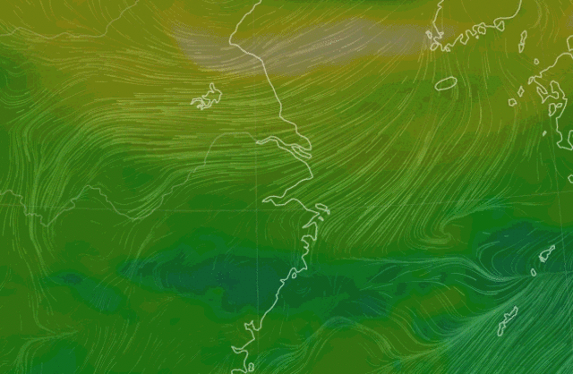 1617172308439.gif 微信图片_20210331142701 (1).gif