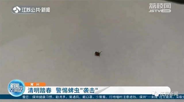 1617692831249.jpg 微信图片_20210406150147.jpg