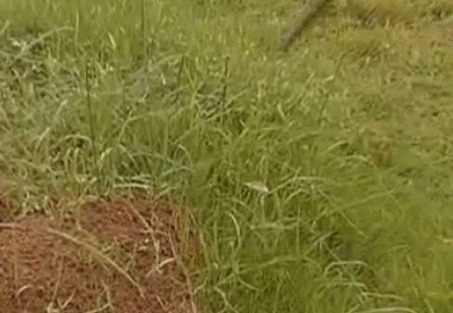 1617774838693.gif 微信图片_20210407132500 (2).gif
