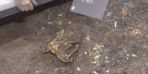 1617858271210.gif 微信图片_20210408113457.gif