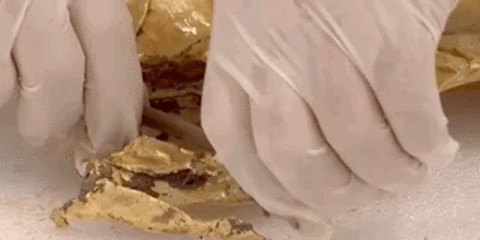 1617858289906.gif 微信图片_20210408113500 (1).gif
