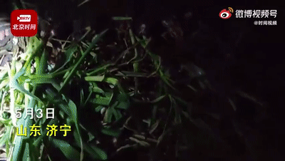 微信图片_20210506131702.gif