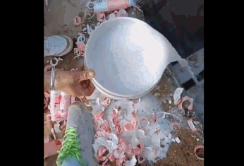 1620282320632.gif 微信图片_20210506141039.gif