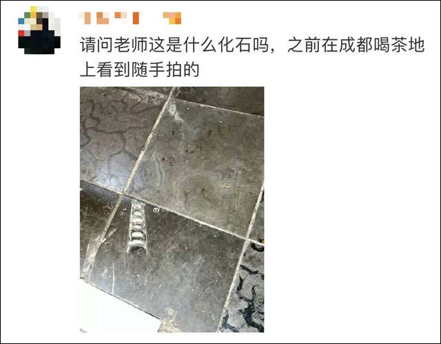 1620285646360.jpg 微信图片_20210506150746.jpg