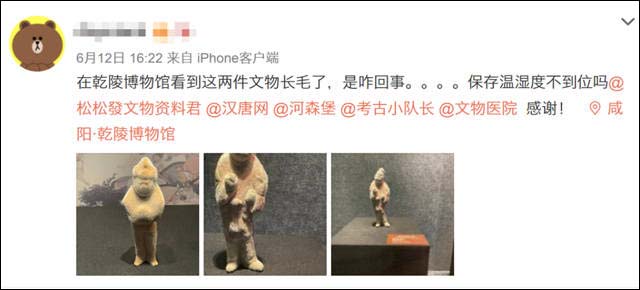 1623914027516.jpg 微信图片_20210617150822.jpg