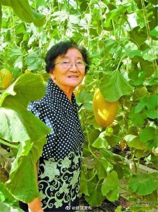 1624436259533.jpg 微信图片_20210623161120.jpg