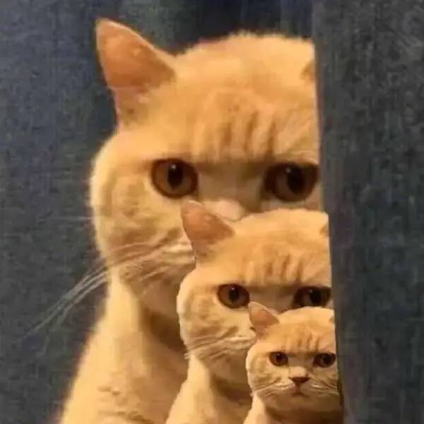 1624867380762.jpg 1624867380762.jpg