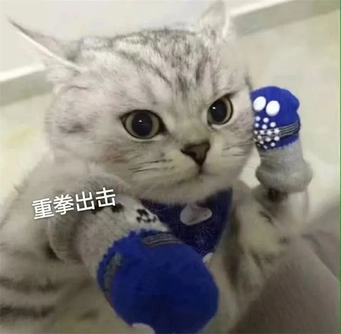 1624867555451.jpg 1624867555451.jpg