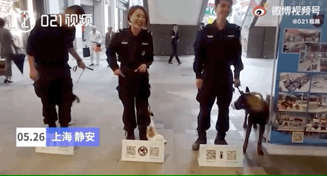 1625040180398.gif 微信图片_20210630155548.gif