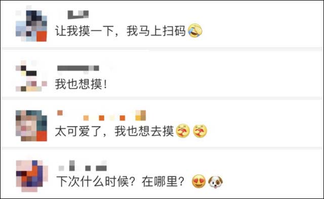 1625040405541.jpg 微信图片_20210630155750.jpg