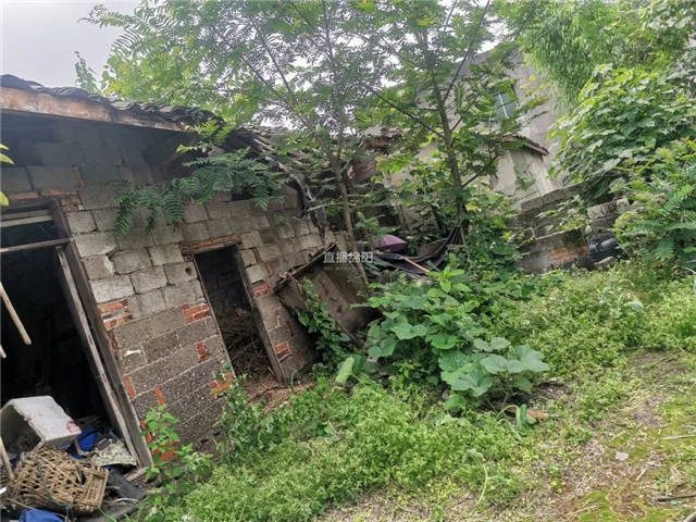 1625726545304.jpg 微信图片_20210708143229.jpg