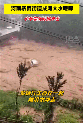 1626842247620.gif 1626842247620.gif