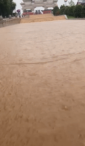 1626842256636.gif 1626842256636.gif