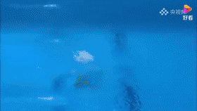 1630995815937.gif 1630995815937.gif