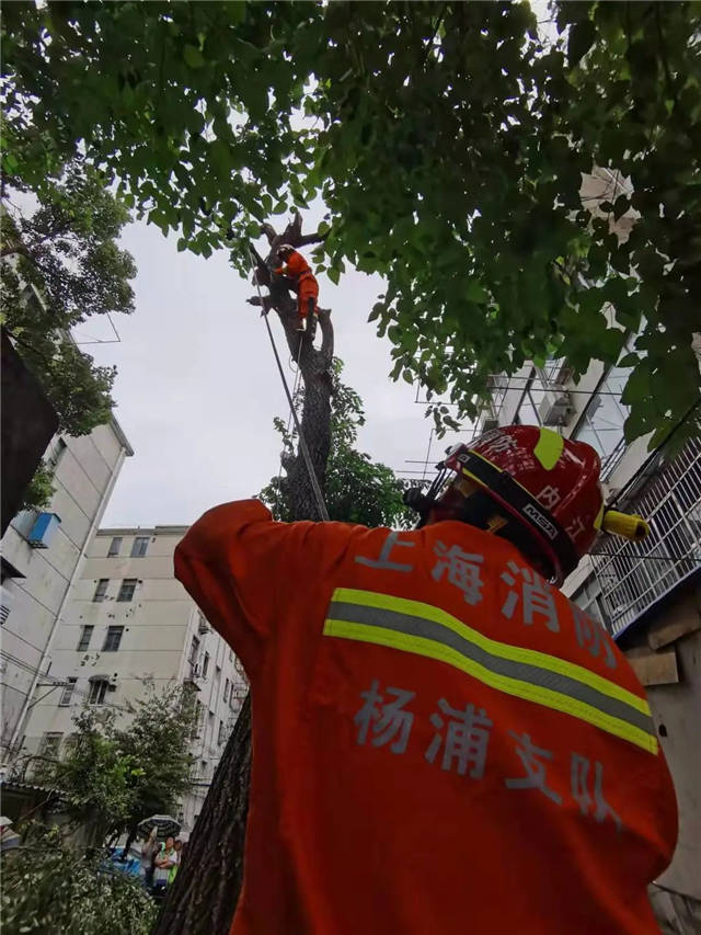 1631776215615.jpg 微信图片_20210916144442.jpg