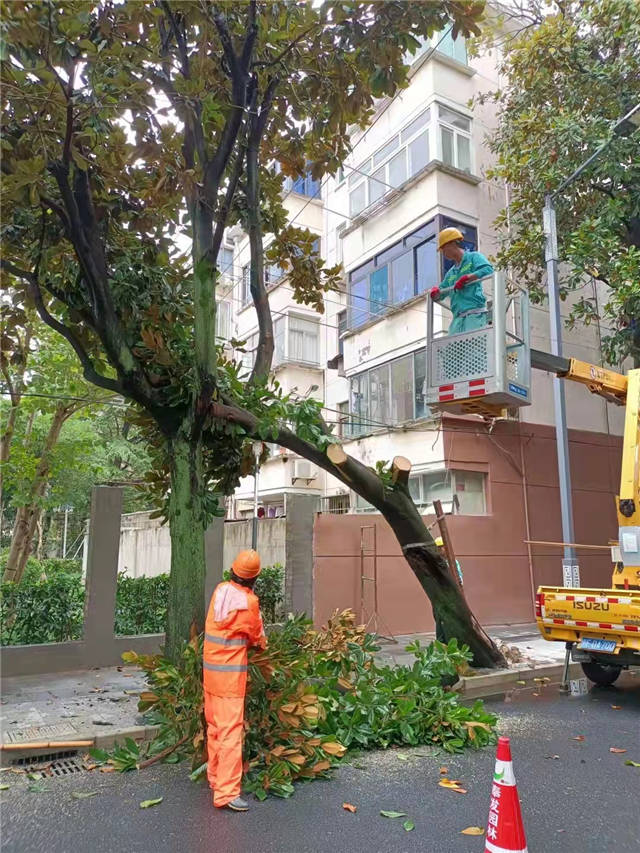 1631776570108.jpg 微信图片_20210916144553.jpg