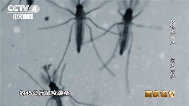 1632815139604.jpg 微信图片_20210928152541.jpg