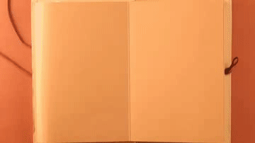 1632902129972.gif 1632902129972.gif
