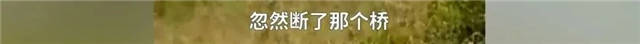 1633159758045.jpg 微信图片_20211002151513.jpg