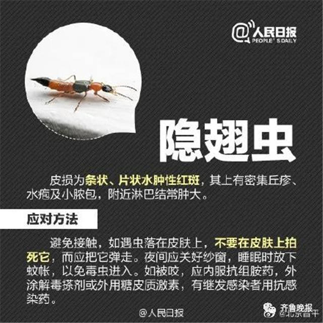 1634019004965.jpg 微信图片_20211012135701.jpg