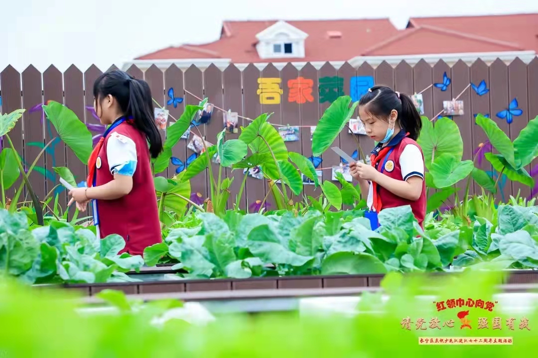 1634548302636.jpg 1634548302636.jpg