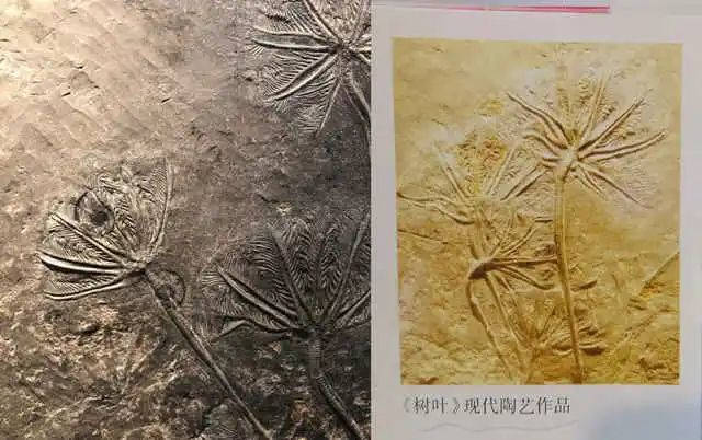 1634627389596.jpg 微信图片_20211019150415.jpg