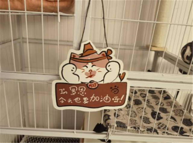 1635231718423.jpg 微信图片_20211026143157.jpg