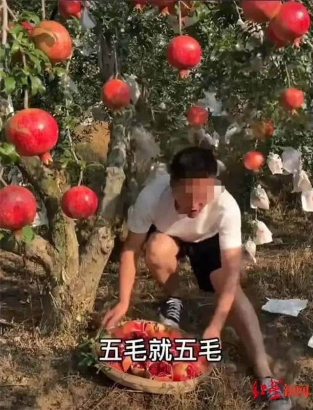 1635581762185.jpg 微信图片_20211030161156.jpg