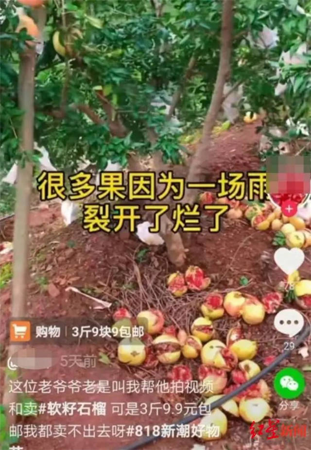 1635581802996.jpg 微信图片_20211030161159.jpg