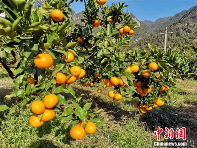 微信图片_20211117145803.jpg