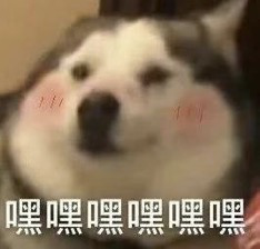 1637206762717.png 1637206762717.png