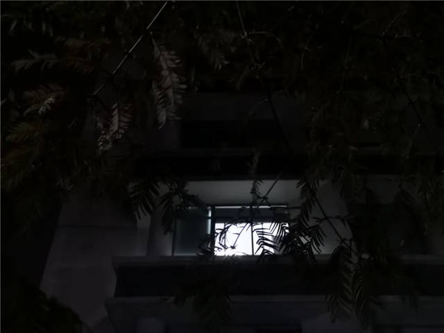 1637219920197.jpg 微信图片_20211118150409.jpg