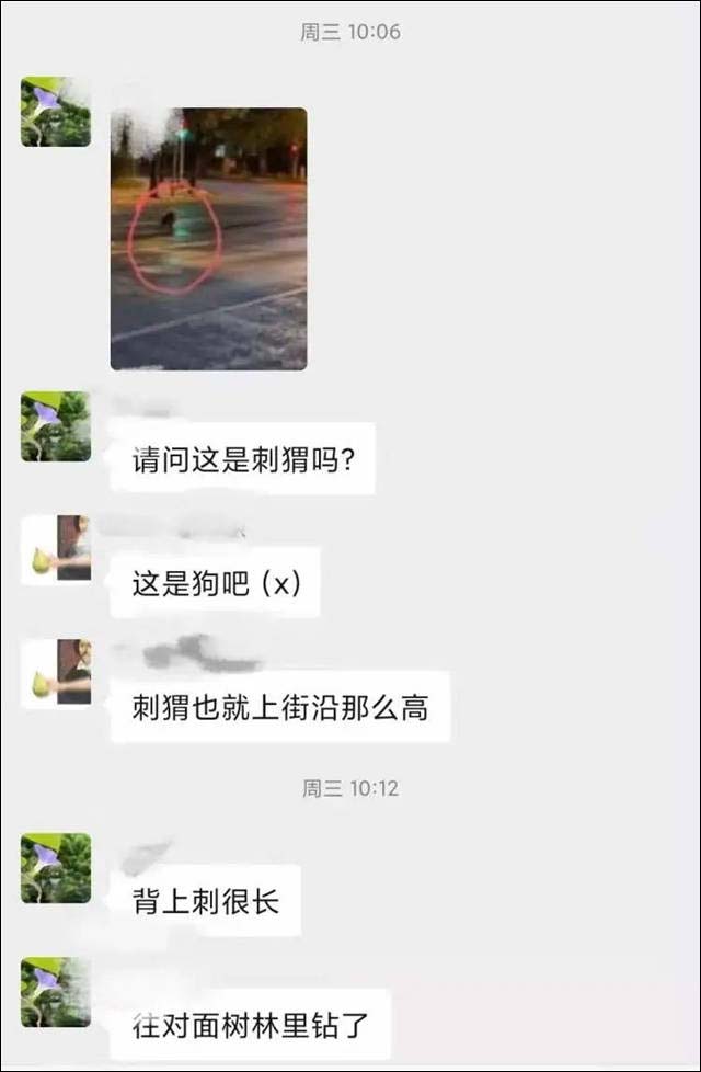 1637388871726.jpg 微信图片_20211120140844.jpg