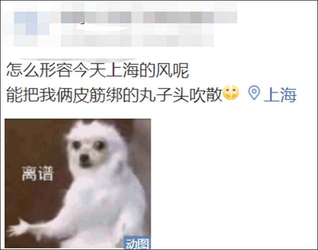1638255878466.jpg 微信图片_20211130145436.jpg