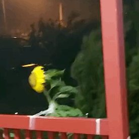 1638255908655.gif 微信图片_20211130145443.gif