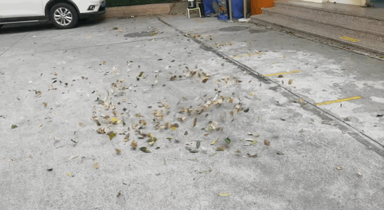 1638255926486.gif 1638255926486.gif