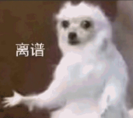 1638256125800.jpg 1638256125800.jpg
