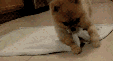 1641967932963.gif 微信图片_20220112140400.gif
