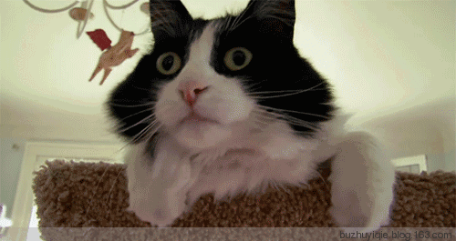 1643261761219.gif 1643261761219.gif