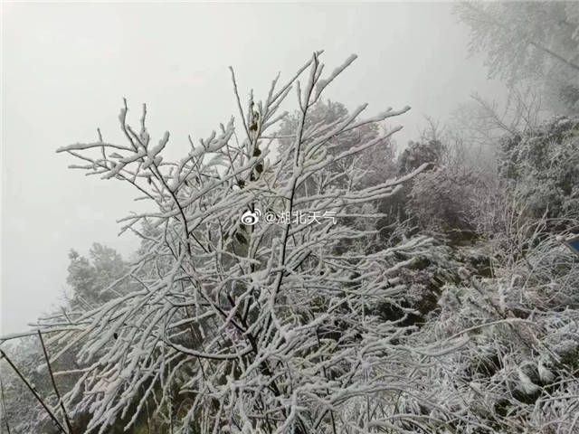 微信图片_20220127144325.jpg