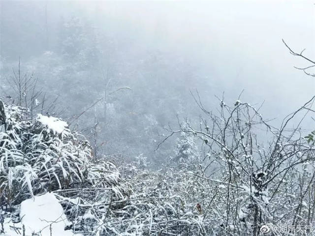 微信图片_20220127144342.jpg