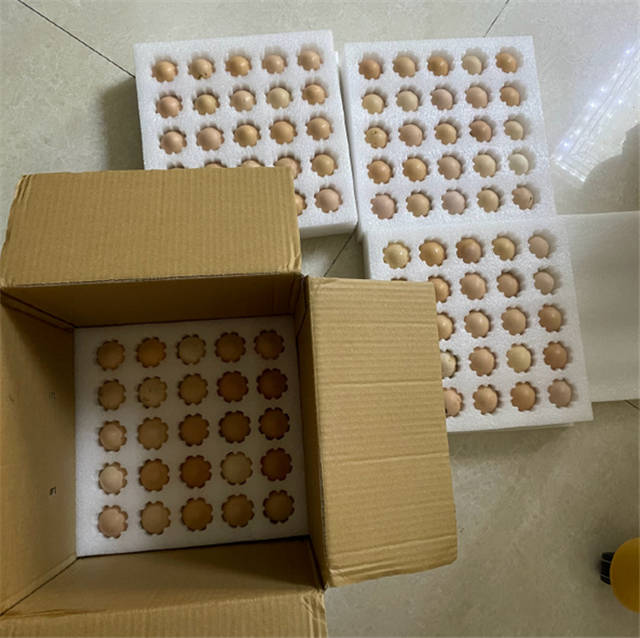 微信图片_20220211141105.jpg